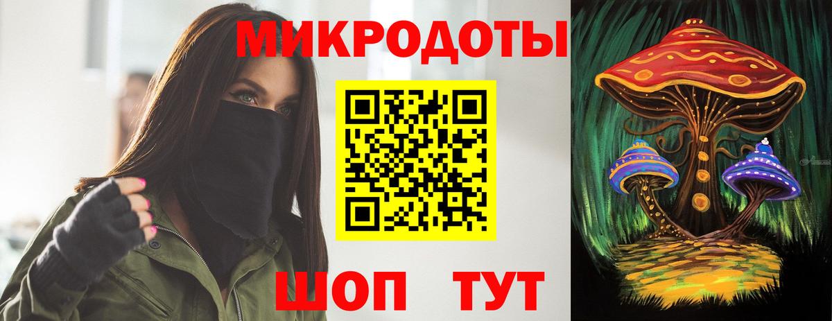 Галлюциногенные грибы Psilocybe  Вход с VPN  Зима 