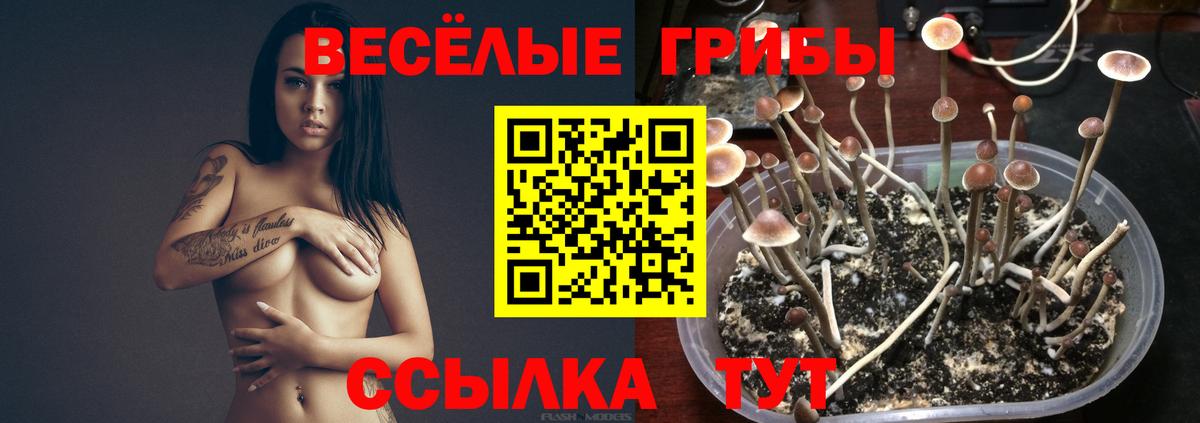 Галлюциногенные грибы прущие грибы Зима